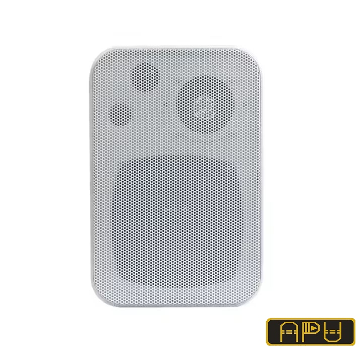 Loa hộp APU BM10 công suất 10W
